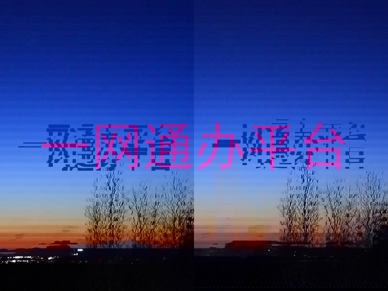 一网通办平台