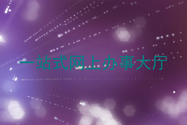 一站式网上办事大厅