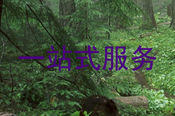 一站式服务