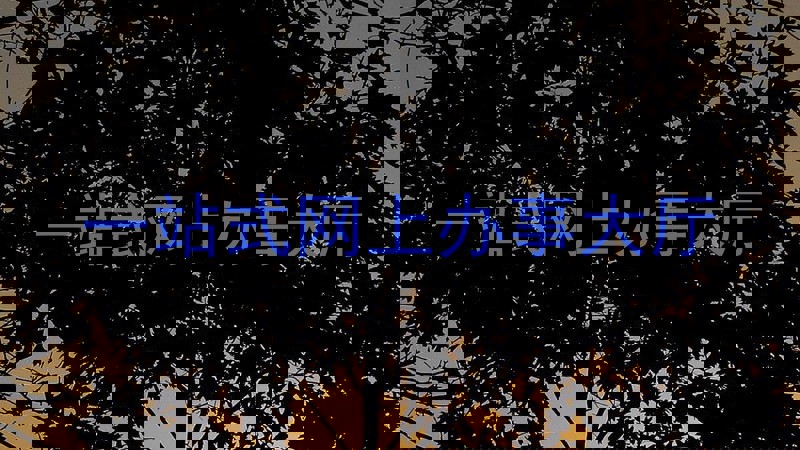 一站式网上办事大厅