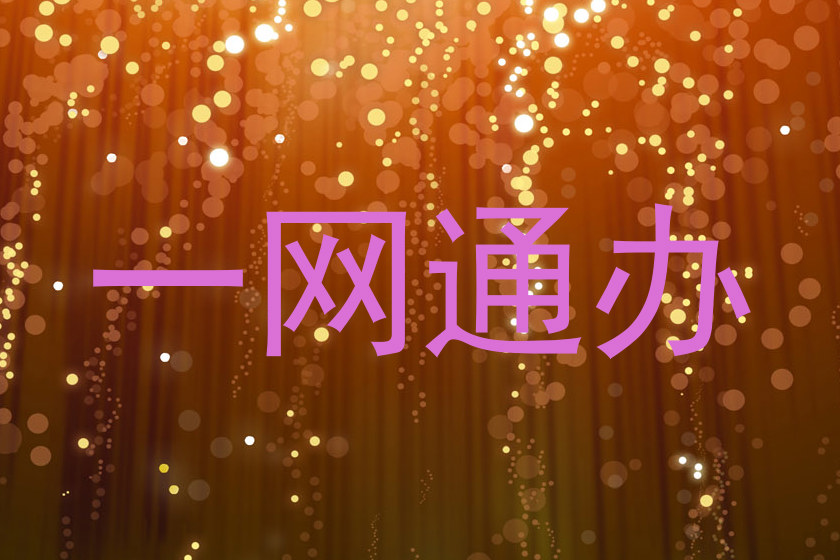 一网通办