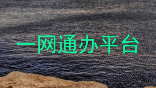 一网通办平台