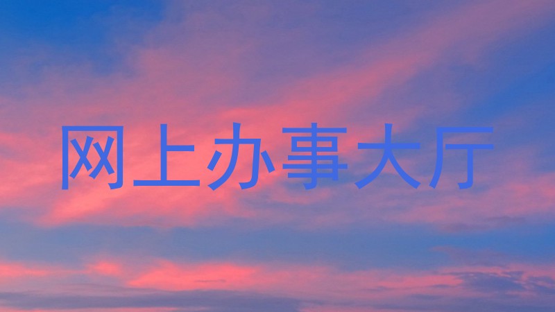 网上办事大厅