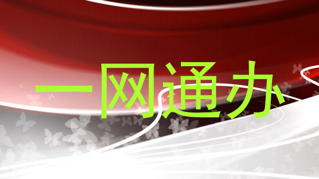 一网通办