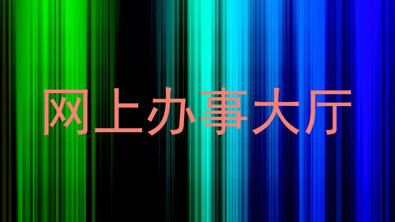 网上办事大厅