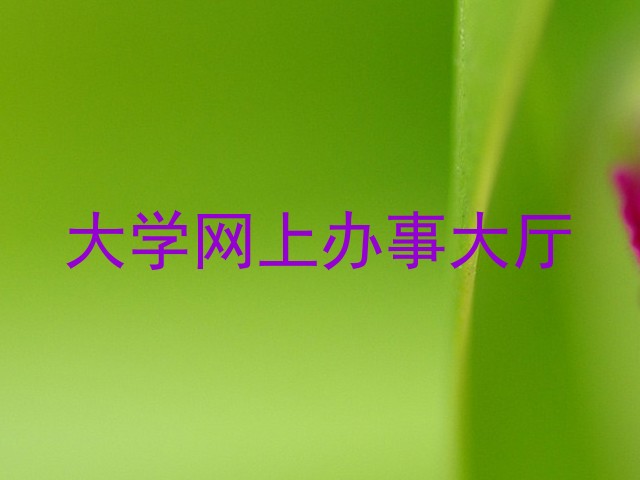 大学网上办事大厅