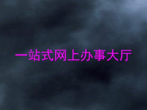 一站式网上办事大厅