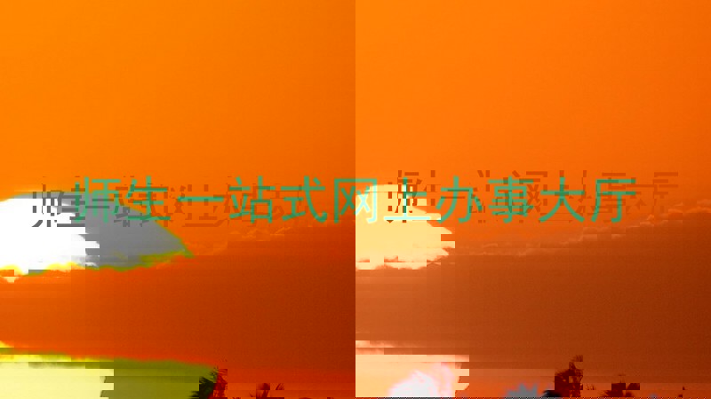 师生一站式网上办事大厅