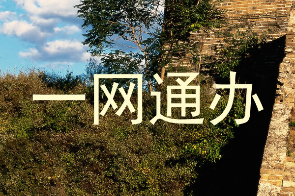 一网通办