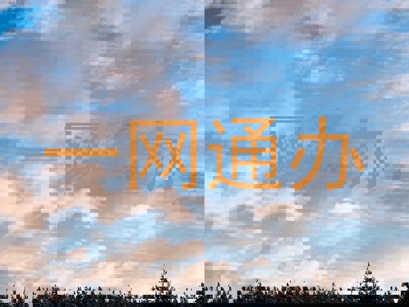 一网通办