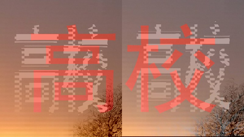 高校