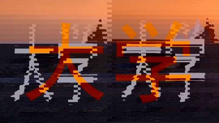 大学