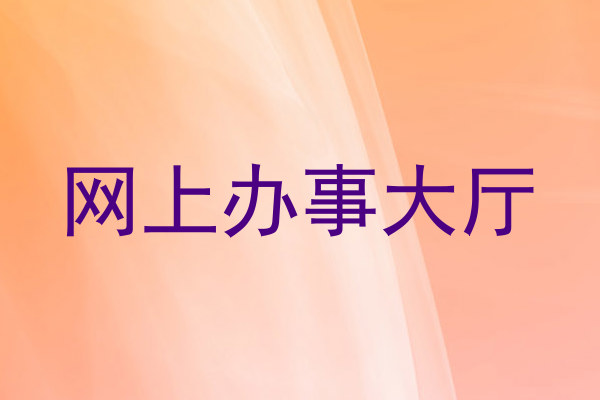 网上办事大厅