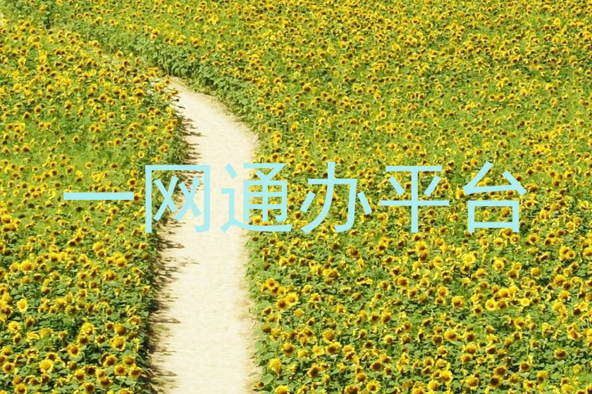 一网通办平台