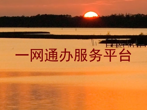 一网通办服务平台