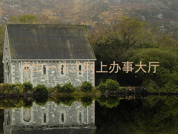 师生一站式网上办事大厅