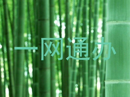 一网通办