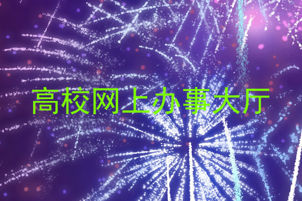 高校网上办事大厅