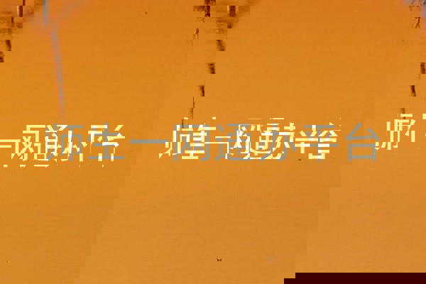 师生一网通办平台