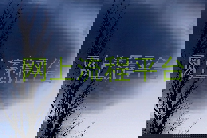 网上流程平台