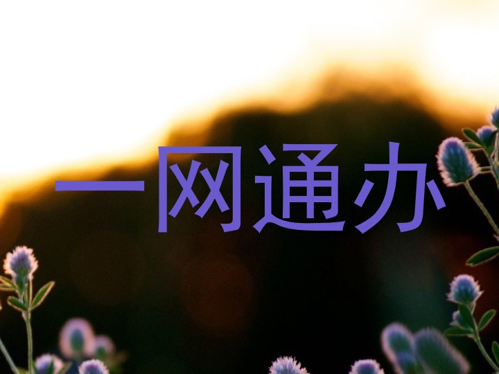 一网通办