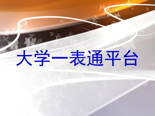 大学一表通平台