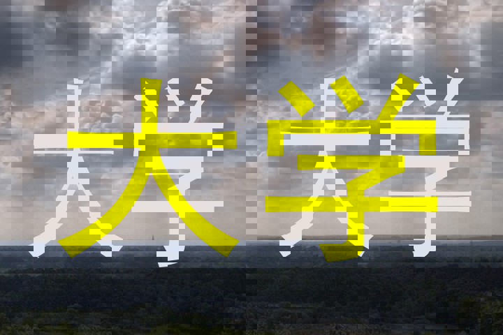 大学