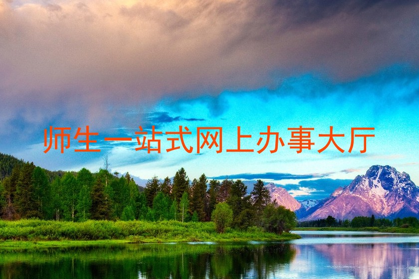 师生一站式网上办事大厅