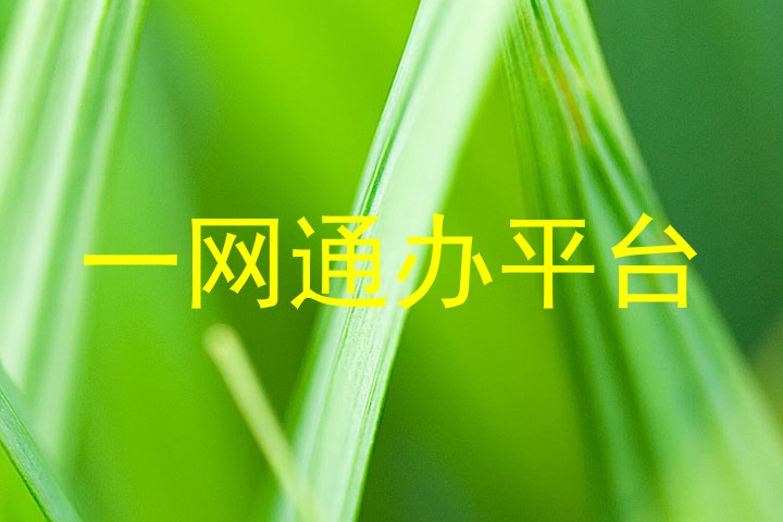 一网通办平台