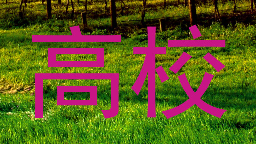 高校