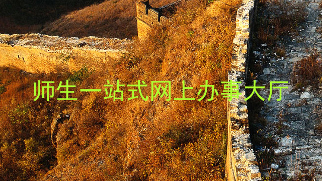 师生一站式网上办事大厅