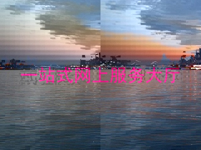 一站式网上服务大厅