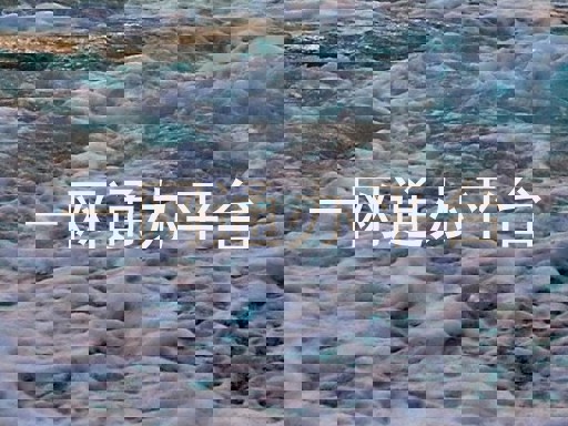 一网通办平台