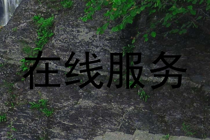 在线服务
