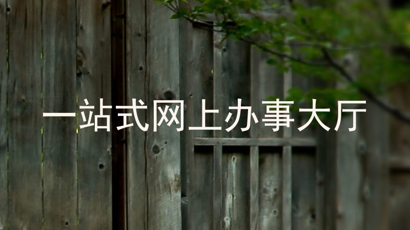 一站式网上办事大厅