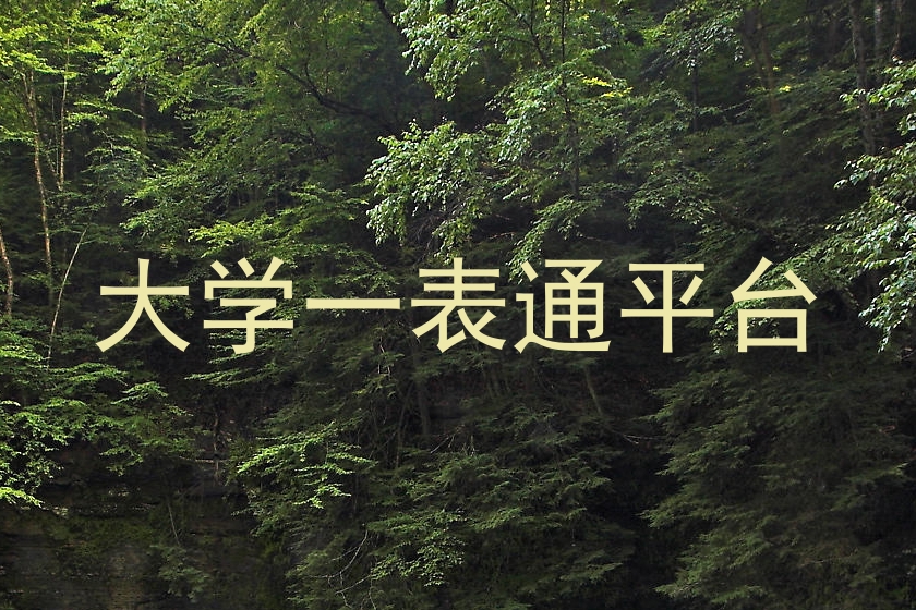 大学一表通平台