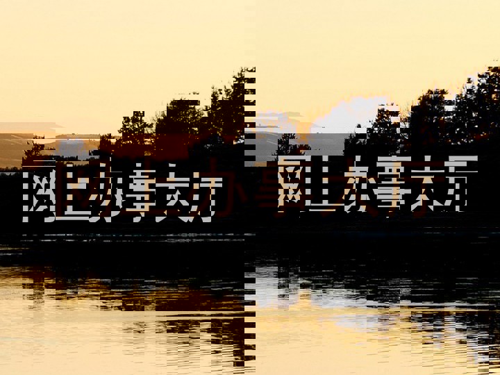 网上办事大厅