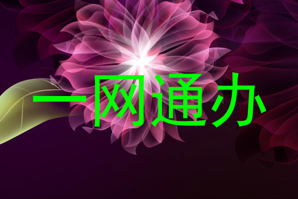 一网通办