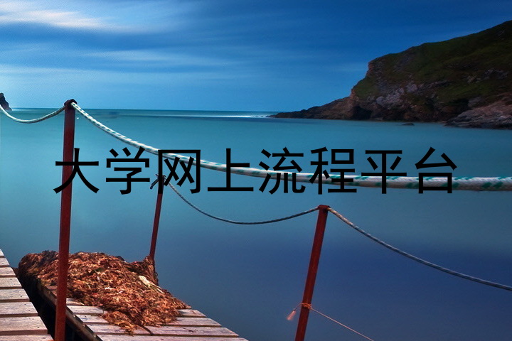 大学网上流程平台