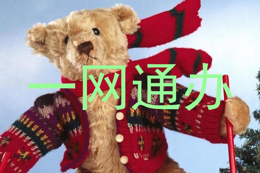 一网通办