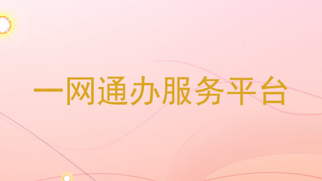 一网通办服务平台