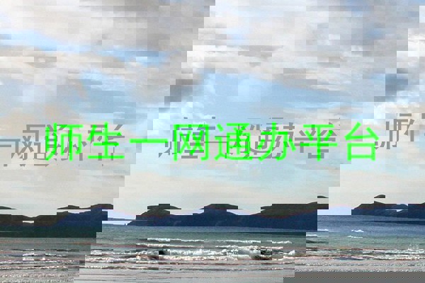师生一网通办平台