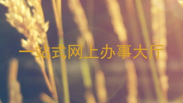 一站式网上办事大厅