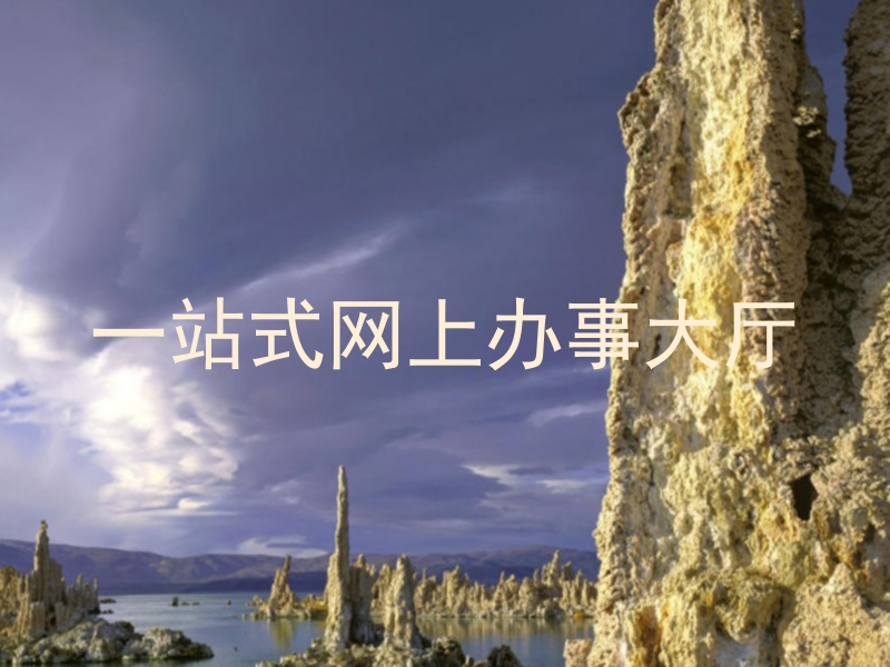 一站式网上办事大厅