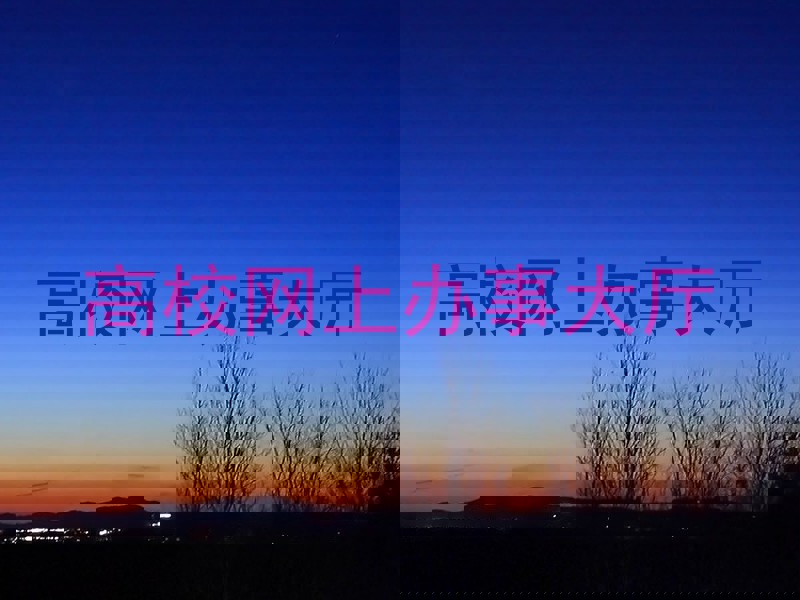 高校网上办事大厅