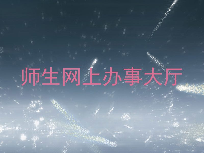 师生网上办事大厅