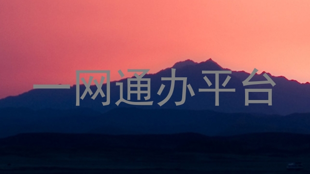 一网通办平台
