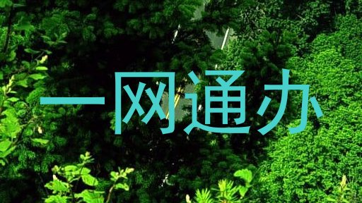 一网通办