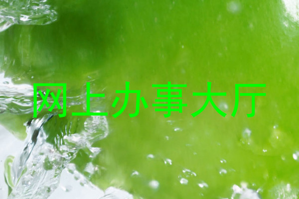 网上办事大厅
