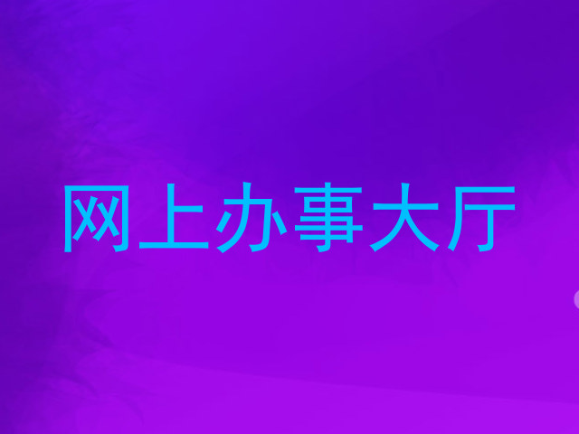 网上办事大厅